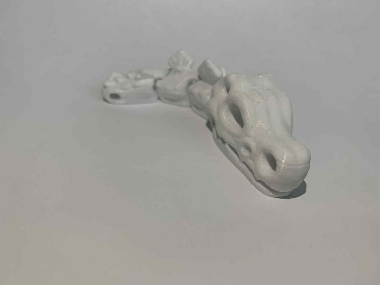 Flexi czaszka dinozaura biała